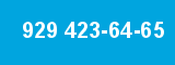 929 423-64-65